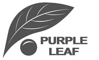 PURPLE LEAF