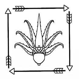 Image Trademark