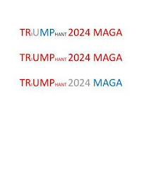 TRIUMPHANT 2024 MAGA