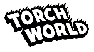 TORCH WORLD