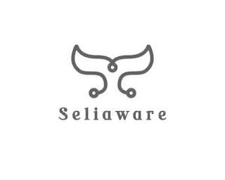 SELIAWARE