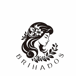BRIHADOS