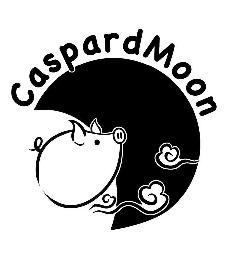 CASPARDMOON