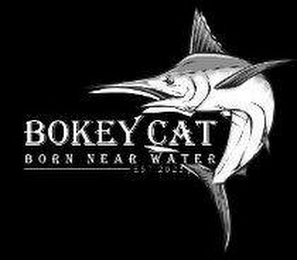 BOKEY CAT BORN NEAR WATER EST 2022