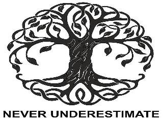 NEVER UNDERESTIMATE