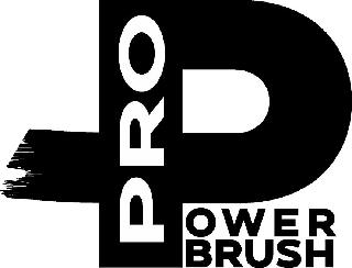 PRO POWER BRUSH