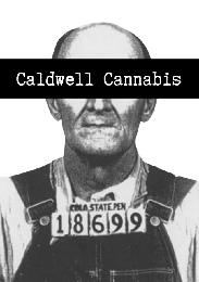 CALDWELL CANNABIS COLA STATE PEN 18699