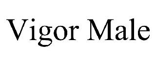 VIGOR MALE