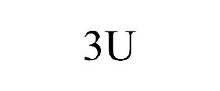 3U