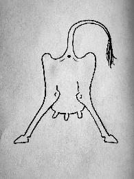 Image Trademark