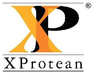 XP X PROTEAN