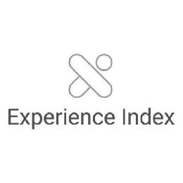 EXPERIENCE INDEX XI