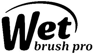 WET BRUSH PRO