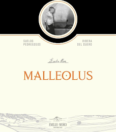 MALLEOLUS SUELOS PEDREGOSOS RIBERA DEL DUERO EMILIO MORO EMILIO MORO BODEGAS