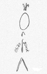 CHIKO BLACK