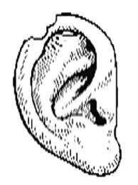 Image Trademark