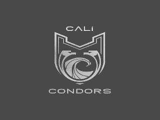 CALI CONDORS