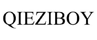 QIEZIBOY
