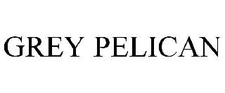 GREY PELICAN
