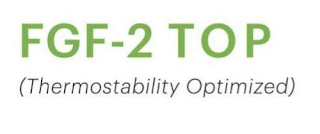 FGF-2 TOP (THERMOSTABILITY OPTIMIZED)