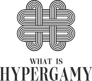 WHAT IS HYPERGAMY