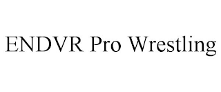 ENDVR PRO WRESTLING