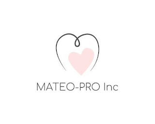 MATEO-PRO INC