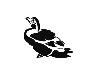 CARE DUCK
