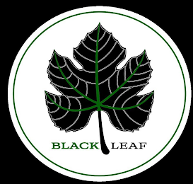 BLACK LEAF