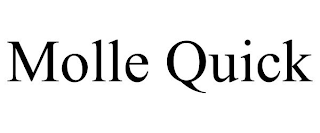 MOLLE QUICK