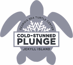 COLD-STUNNED PLUNGE GEORGIA SEA TURTLE CENTER JEKYLL ISLAND