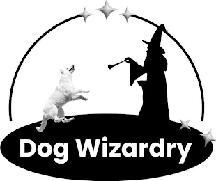 DOG WIZARDRY