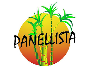 PANELLISTA