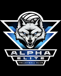 ALPHA ELITE VOLLEYBALL CLUB