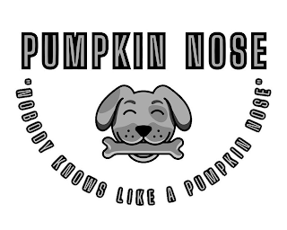 PUMPKIN NOSE 