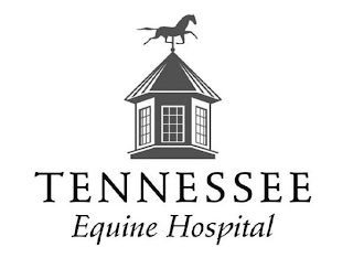 TENNESSEE EQUINE HOSPITAL