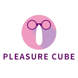 PLEASURE CUBE