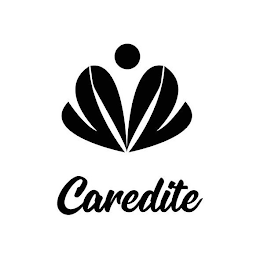 CAREDITE