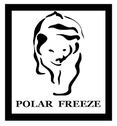 POLAR FREEZE