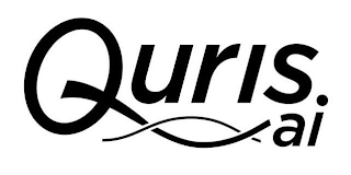 QURIS AI