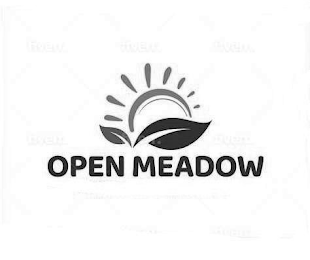 OPEN MEADOW