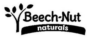 BEECH-NUT NATURALS