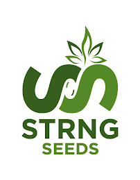 STRNG SEEDS