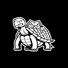 PURPLE TURTLE ROOFING