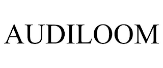 AUDILOOM