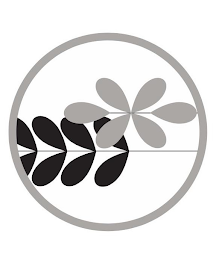 Image Trademark