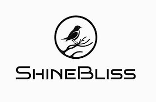 SHINEBLISS