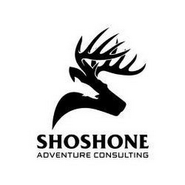 SHOSHONE ADVENTURE CONSULTING