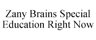 ZANY BRAINS SPECIAL EDUCATION RIGHT NOW