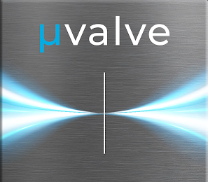 ΜVALVE